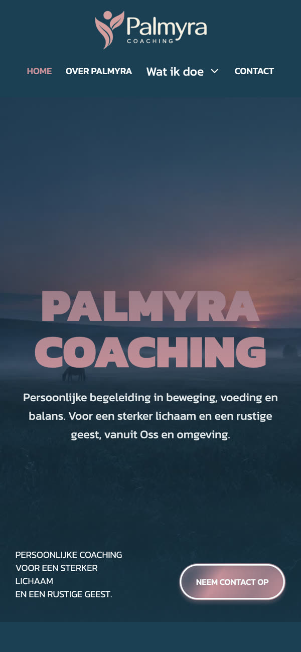 Palmyra Coaching