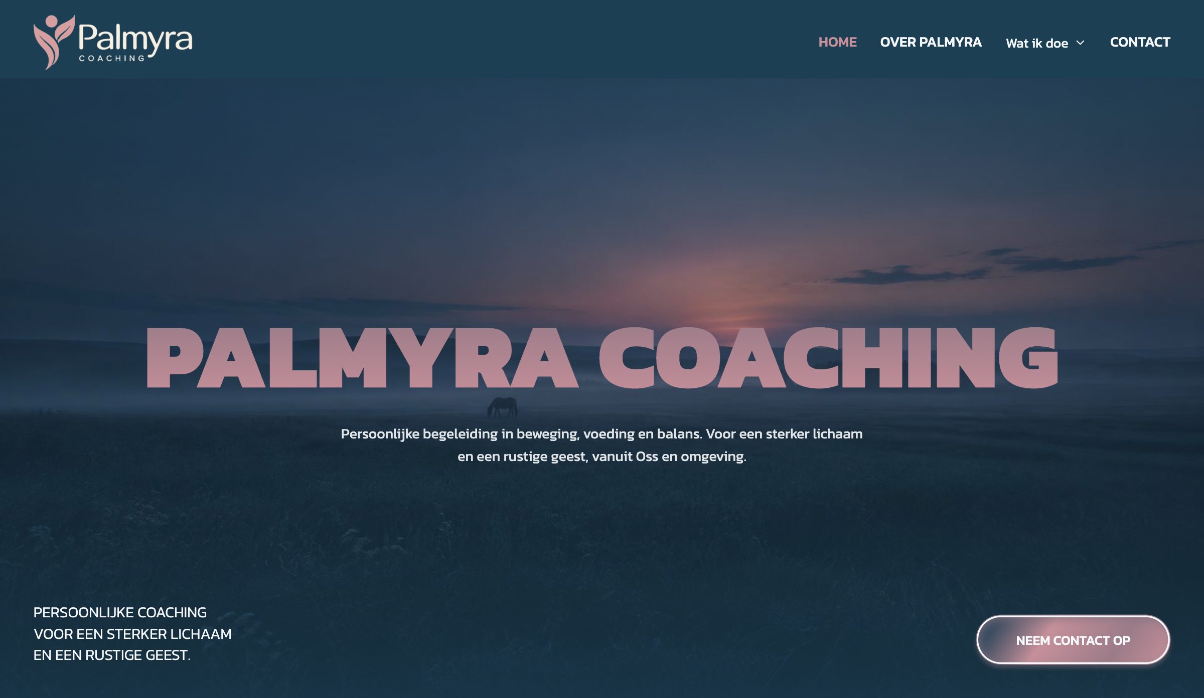 Website Palmyra Coaching